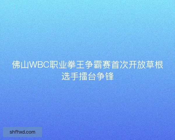 佛山WBC职业拳王争霸赛首次开放草根选手擂台争锋
